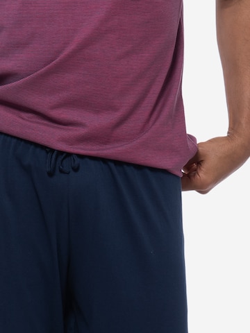 Ammann Pyjama kurz 'Night & Home Cotton' in Mischfarben