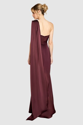 Coast Dress in Red: back