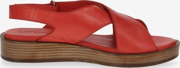 CAPRICE Sandals in Red