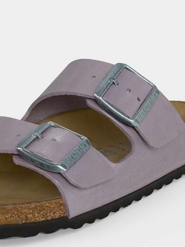purpurinė BIRKENSTOCK Šlepetės 'Arizona'