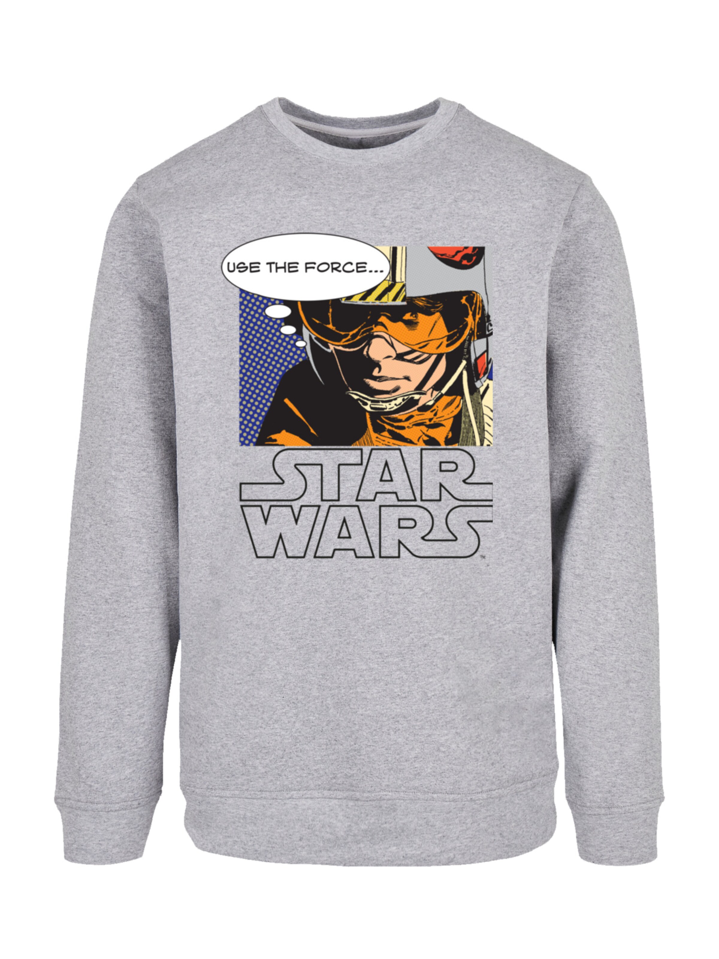 F4NT4STIC Sweatshirt 'Use the Force' in Grijs: voorkant
