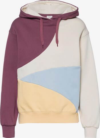 Iriedaily Sweatshirt in Mixed colors: front