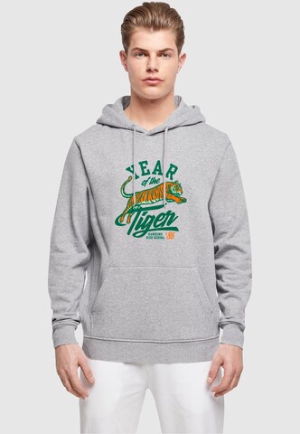 Sweat-shirt 'Stranger Things - Hawkins Year of The Tiger' ABSOLUTE CULT en gris : devant