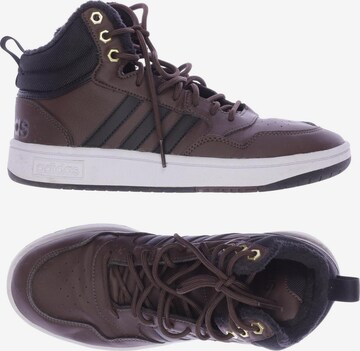 ADIDAS PERFORMANCE Sneakers & Trainers in 39 in Brown: front