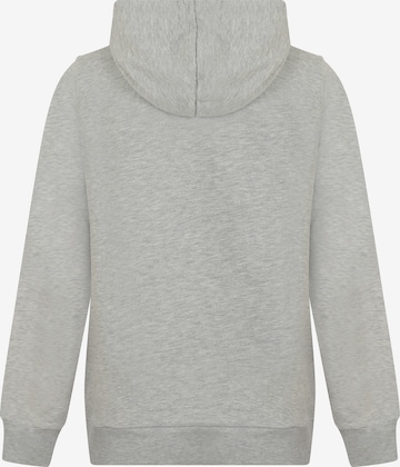 DENIM CULTURE Sweatshirt 'Zenaida' i grå