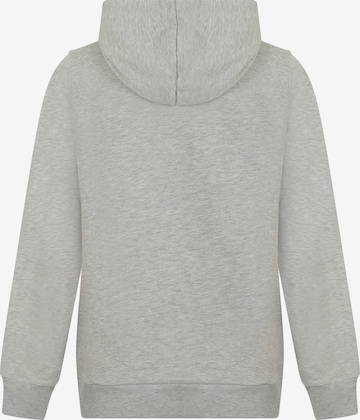 DENIM CULTURE - Sudadera 'Zenaida' en gris