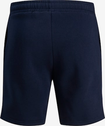 JACK & JONES Regular Pants in Blue