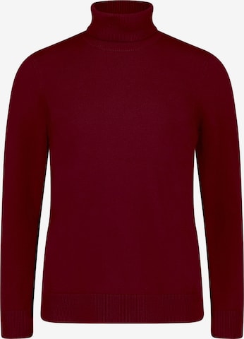 Betty Barclay Rollkragenpullover langarm in Lila: Vorderseite