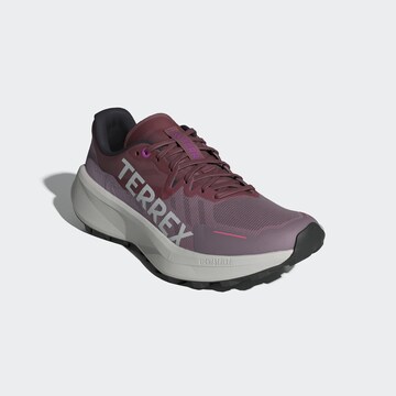 Chaussure basse 'AGRAVIC 3' ADIDAS TERREX en violet