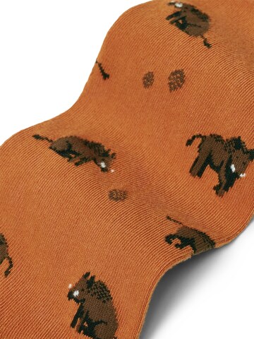Von Jungfeld Socks 'Eber Icon' in Orange