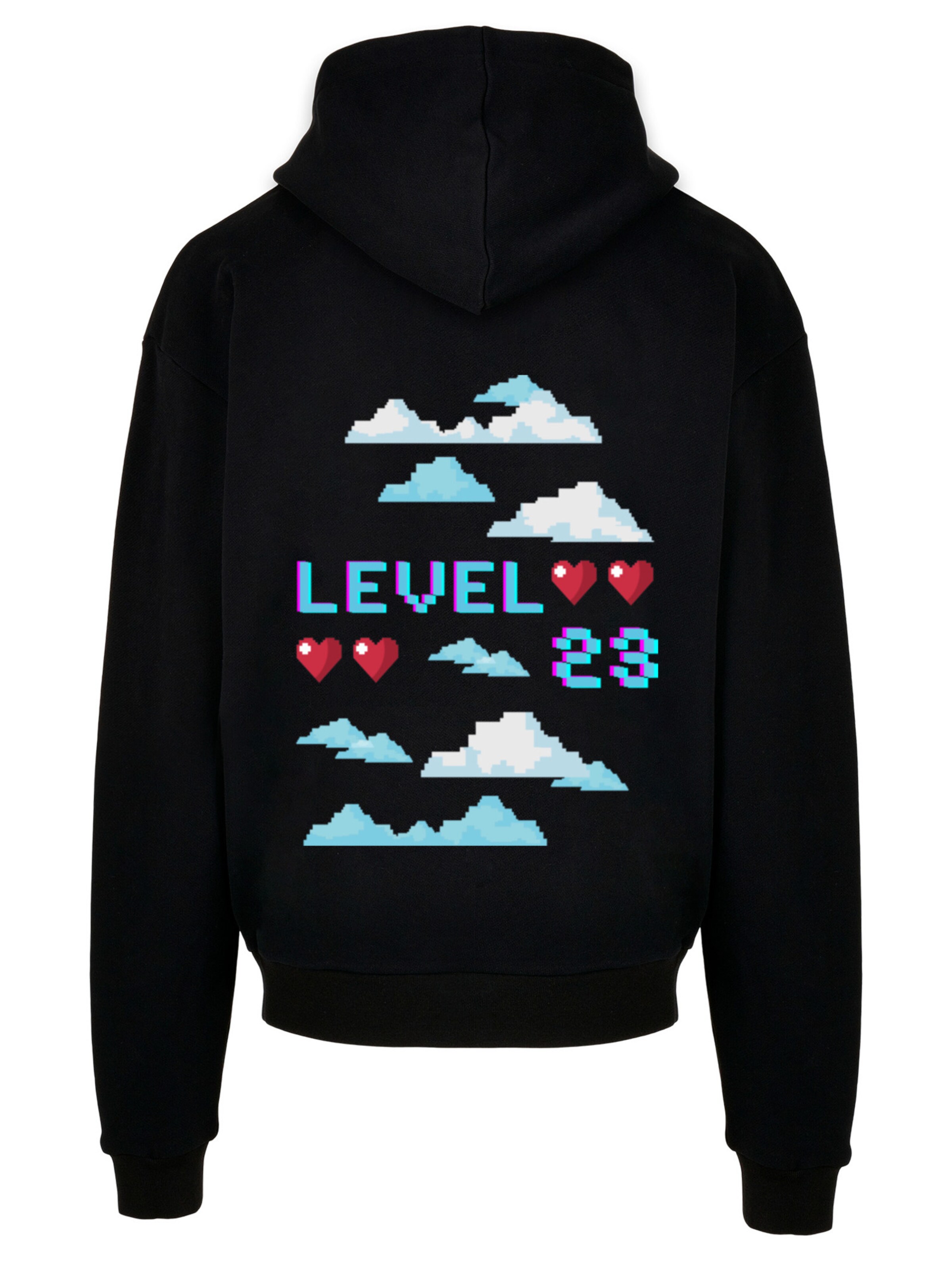 F4NT4STIC Sweatshirt in Schwarz