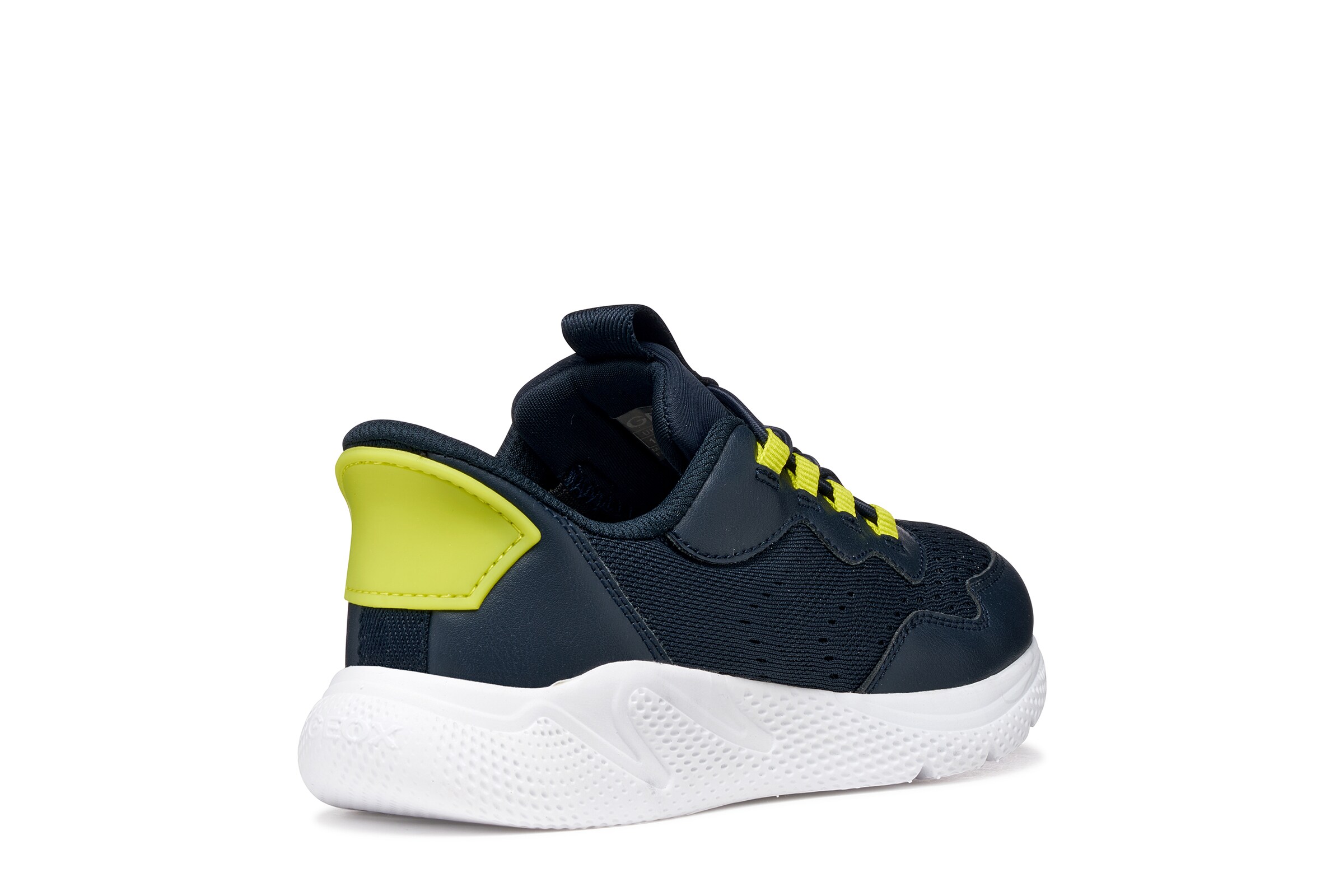 GEOX Sneakers in Blue