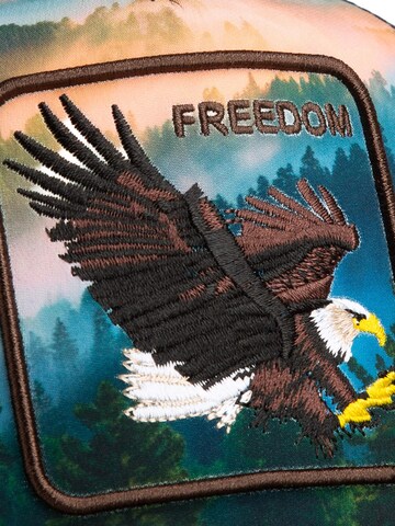 GOORIN Bros. Cap 'Eagle In The Element' in Mixed colors