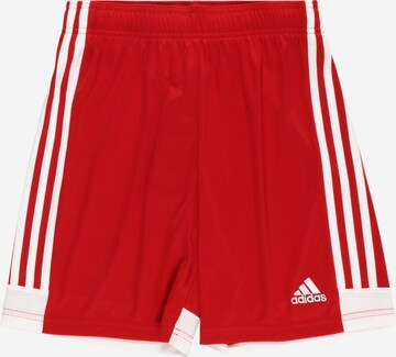 ADIDAS PERFORMANCE Workout Pants 'Tastigo 19' in Red: front