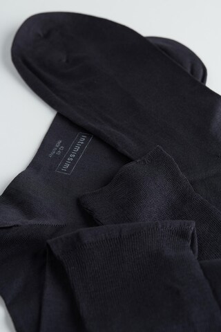 INTIMISSIMI Socken in Blau