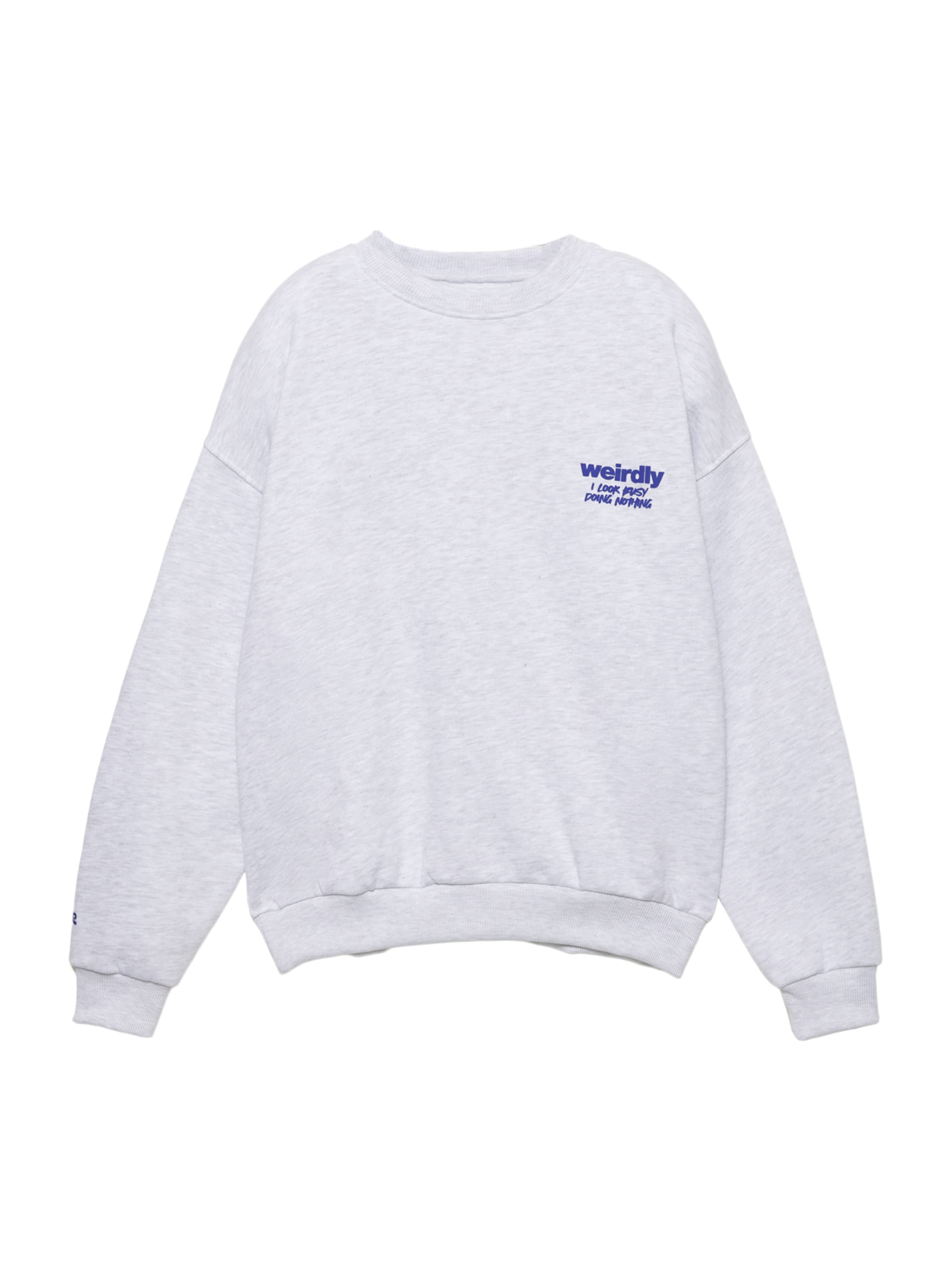 Pull&amp;Bear Sweatshirt &#x27;PACIFIC WEIRDLY&#x27; in Grijs: voorkant