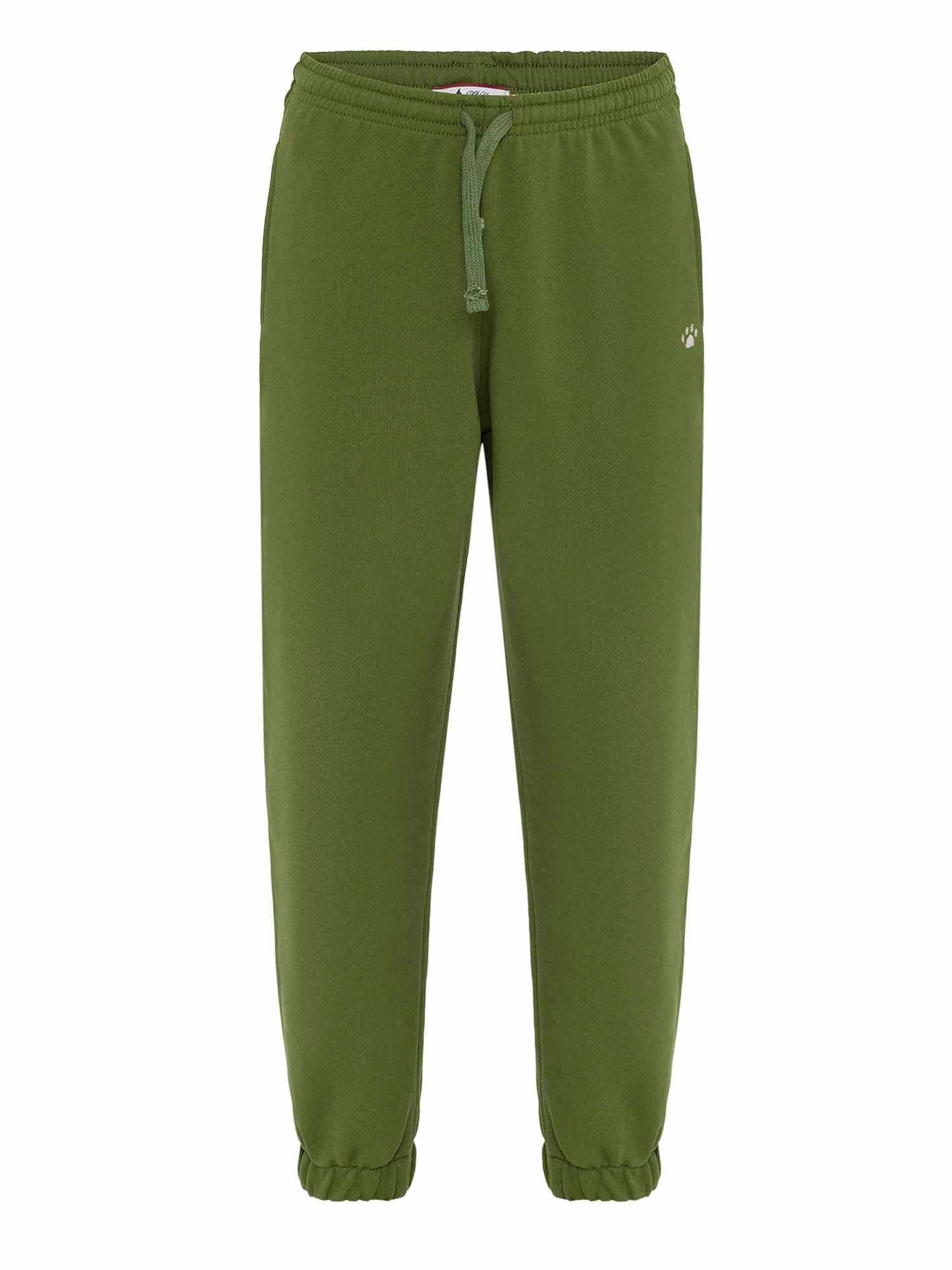 Williot - Tapered Calças em verde: frente