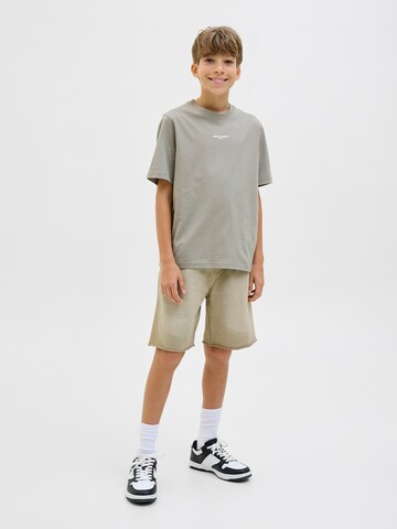 Jack & Jones Junior Shirts 'JCOLIDO' i grå