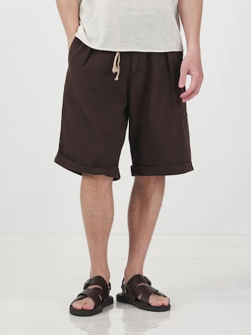 Giesto Wide leg Pleat-front trousers in Brown: front