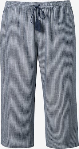 Ulla Popken Regular Pants in Blue: front