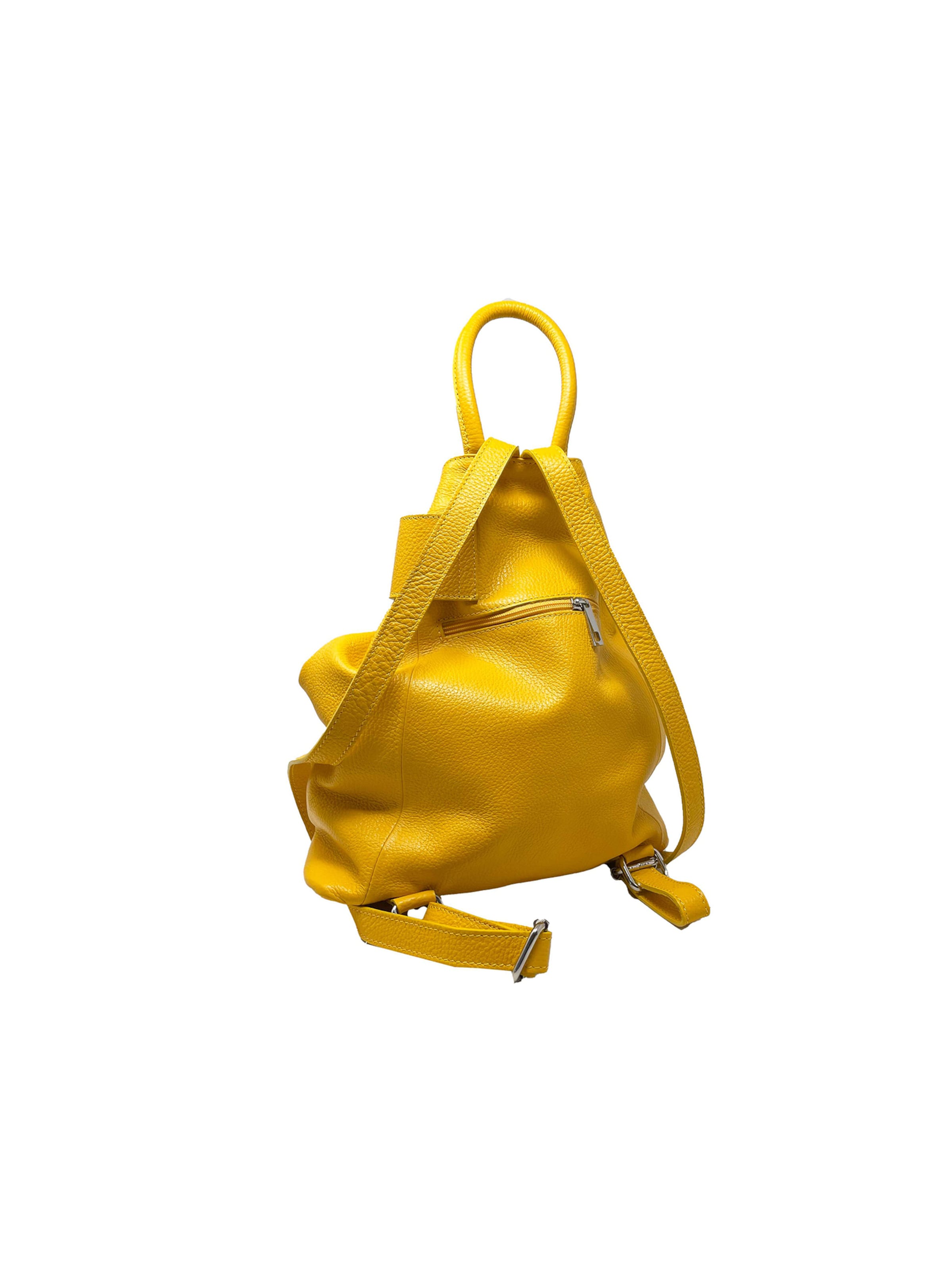 CHICCA BORSE Rugzak in Geel