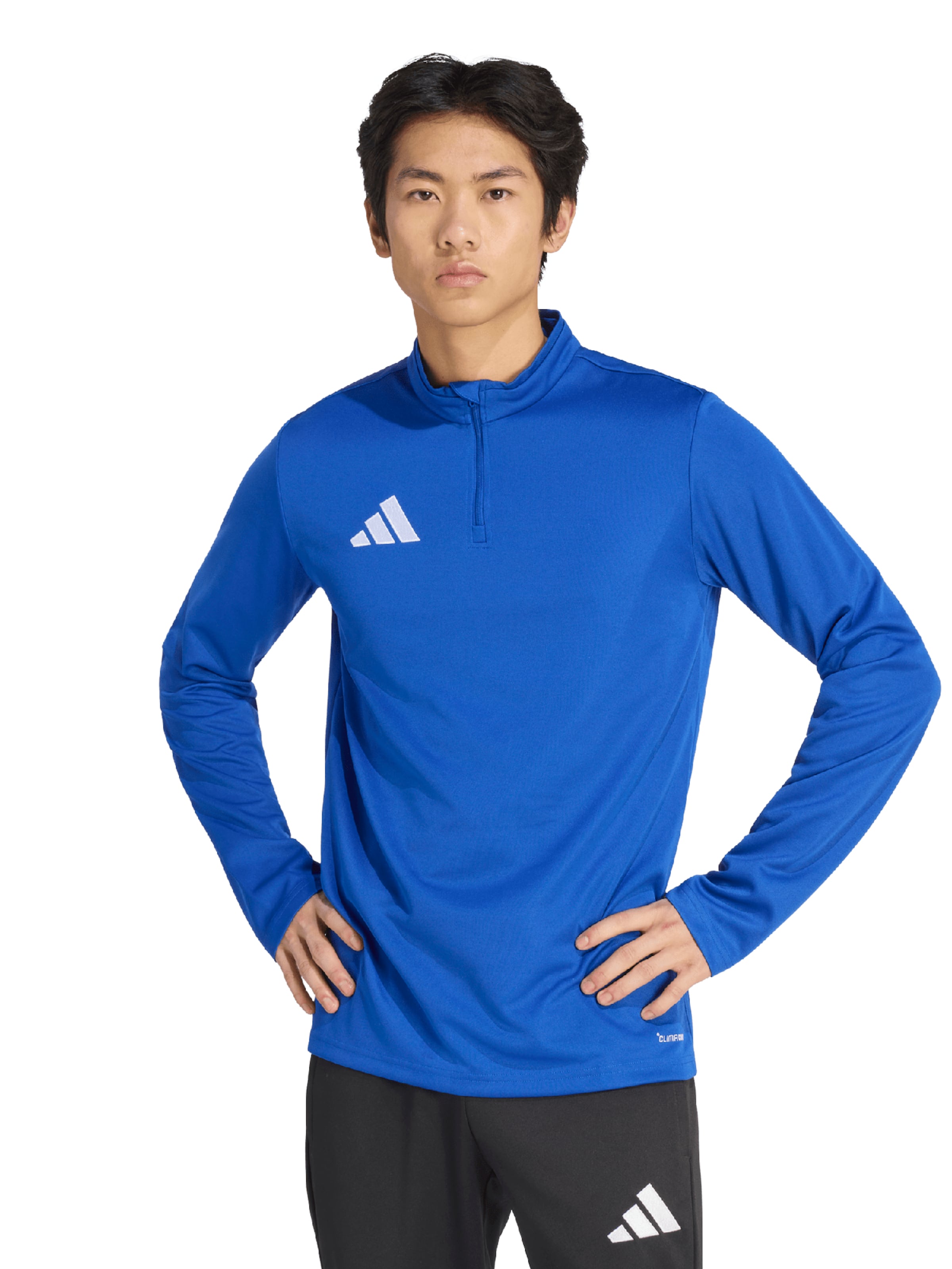 ADIDAS PERFORMANCE Спортивный свитшот 'ENT26' в Синий: спереди