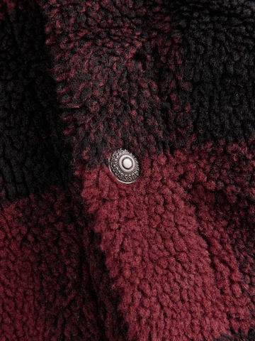 raudona LEVI'S ® Demisezoninė striukė 'JERO'