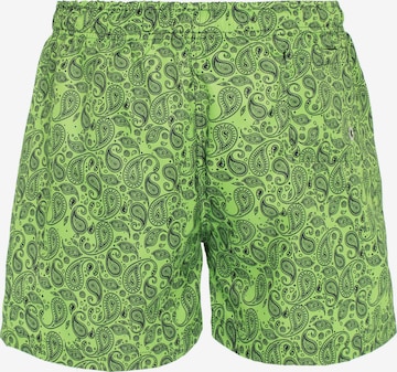 Redbridge Board Shorts in Green