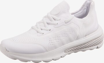 Baskets basses GEOX en blanc : devant