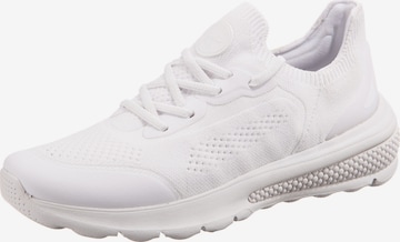 GEOX Sneakers in White: front