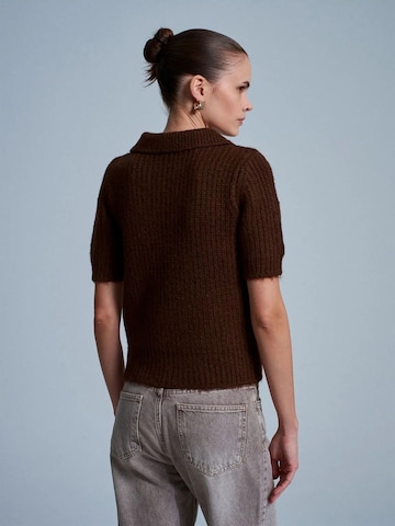 Dilvin Pullover 'Pullover'‌‌‌‌ in Braun