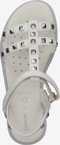 GEOX Sandals & Slippers in White