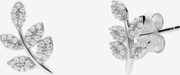 Lucardi Oorbellen 'Klassisch' in Zilver: voorkant