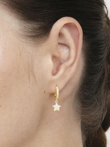 Luxenter Oorbellen 'Wabak' in Goud