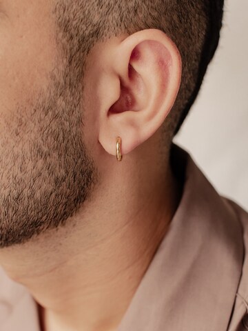 Hey Happiness Oorbel 'Plain Chunky' in Goud