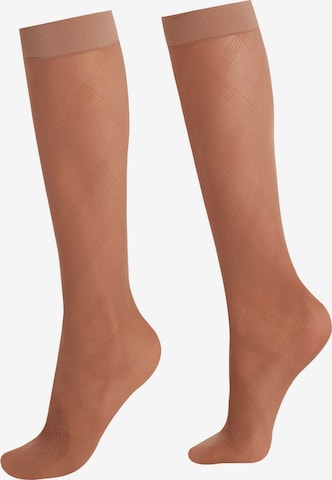 CALZEDONIA Knee High Socks in Beige: front