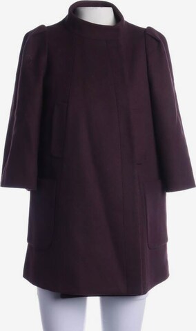 Tara Jarmon Jacket & Coat in S in Purple: front