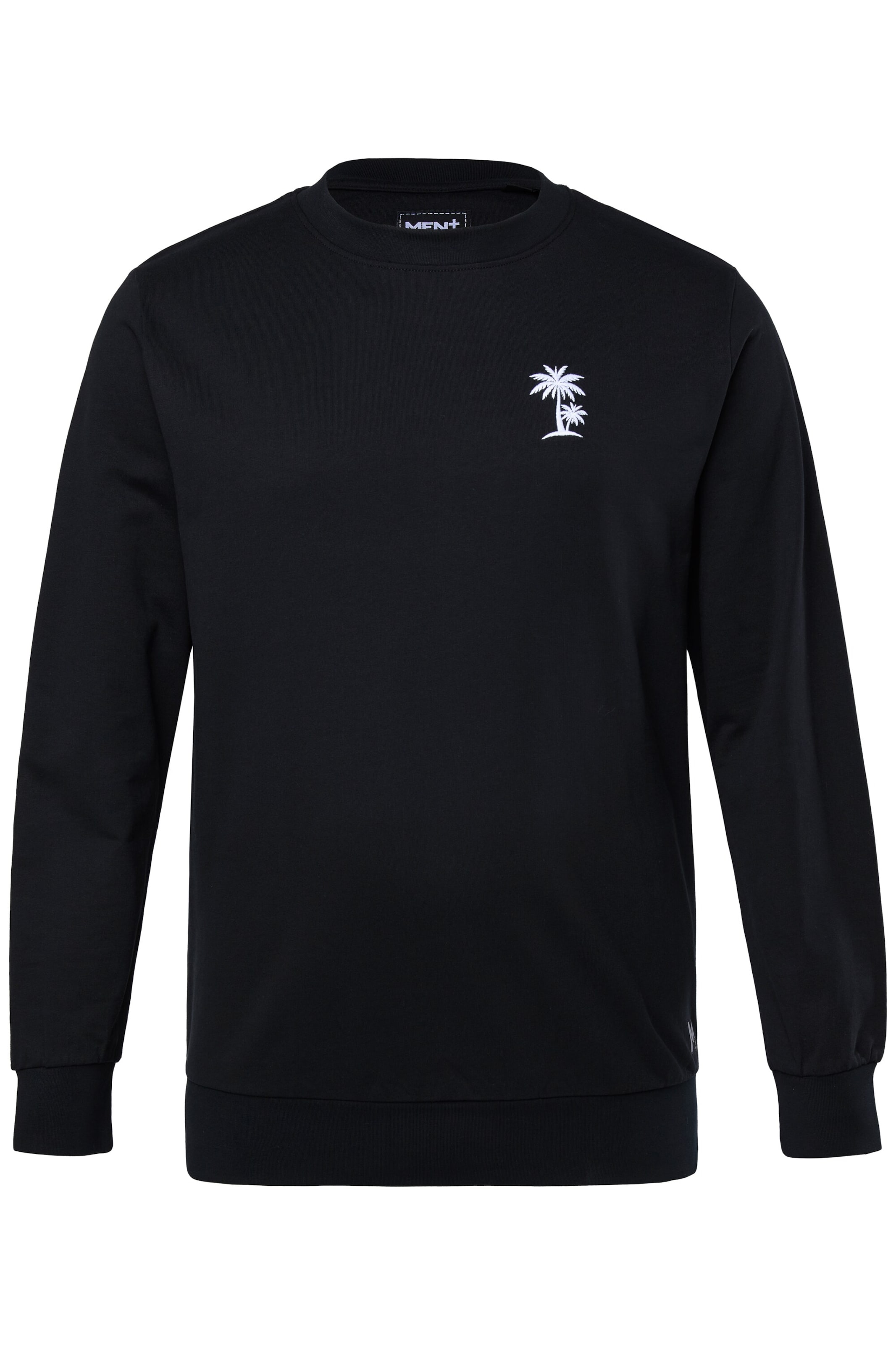 Men Plus Sweatshirt in Zwart: voorkant