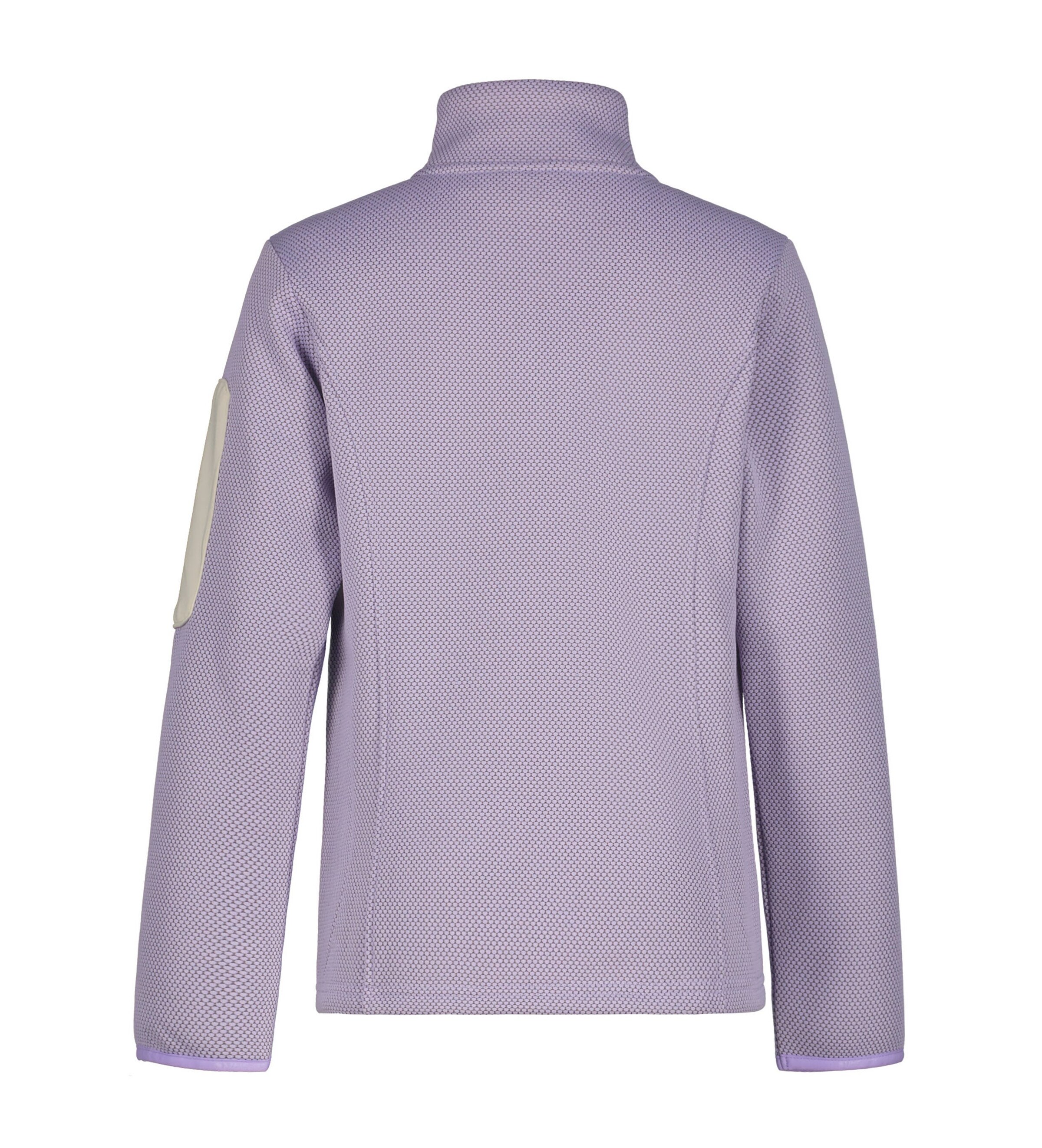 ICEPEAK Athletic Fleece Jacket in Purple