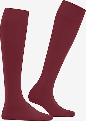 FALKE Knee High Socks 'Cotton Touch' in Red: front
