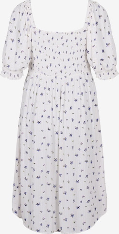 Zizzi Dress 'ROSAN' in White