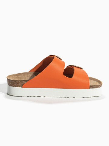 Bayton Mule 'JAPET' in Orange