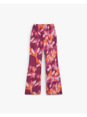 Regular Pantalon ' ' Scalpers en mélange de couleurs