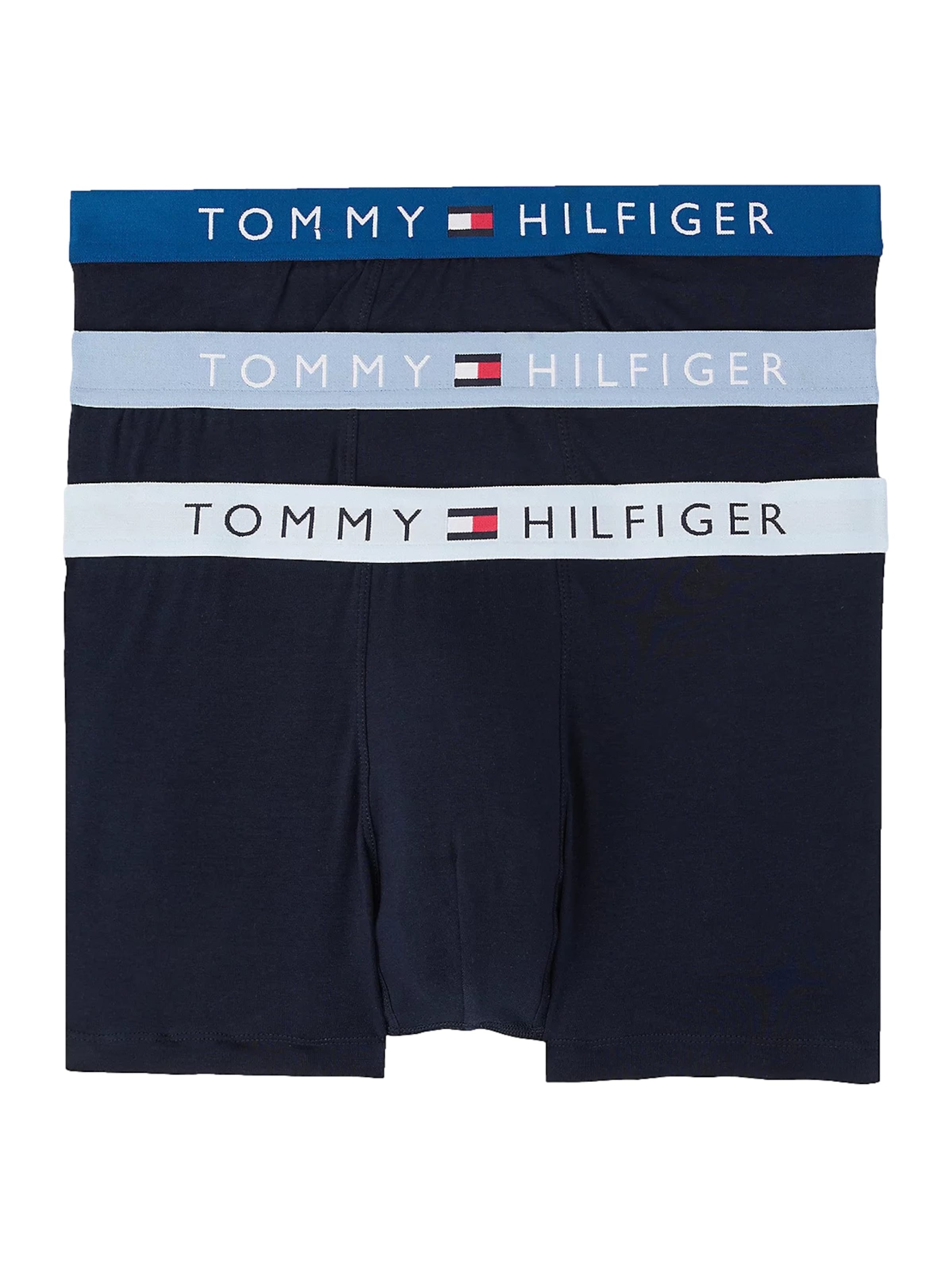 Boxer di TOMMY HILFIGER in blu: frontale