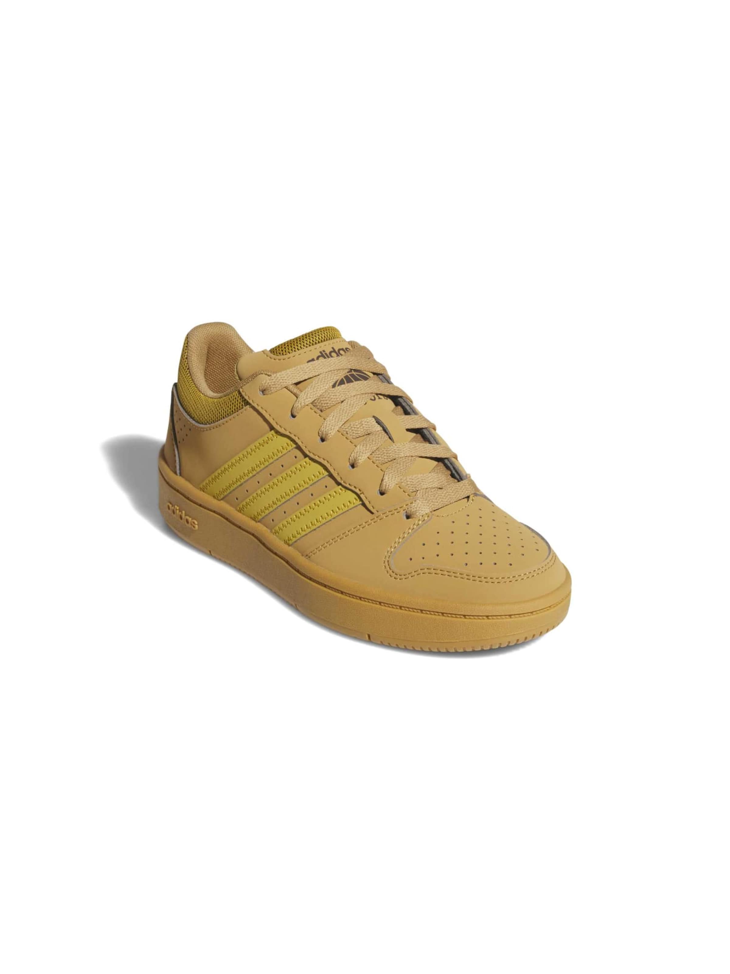 Sneaker 'HOOPS CLASSIС' di ADIDAS SPORTSWEAR in beige: frontale