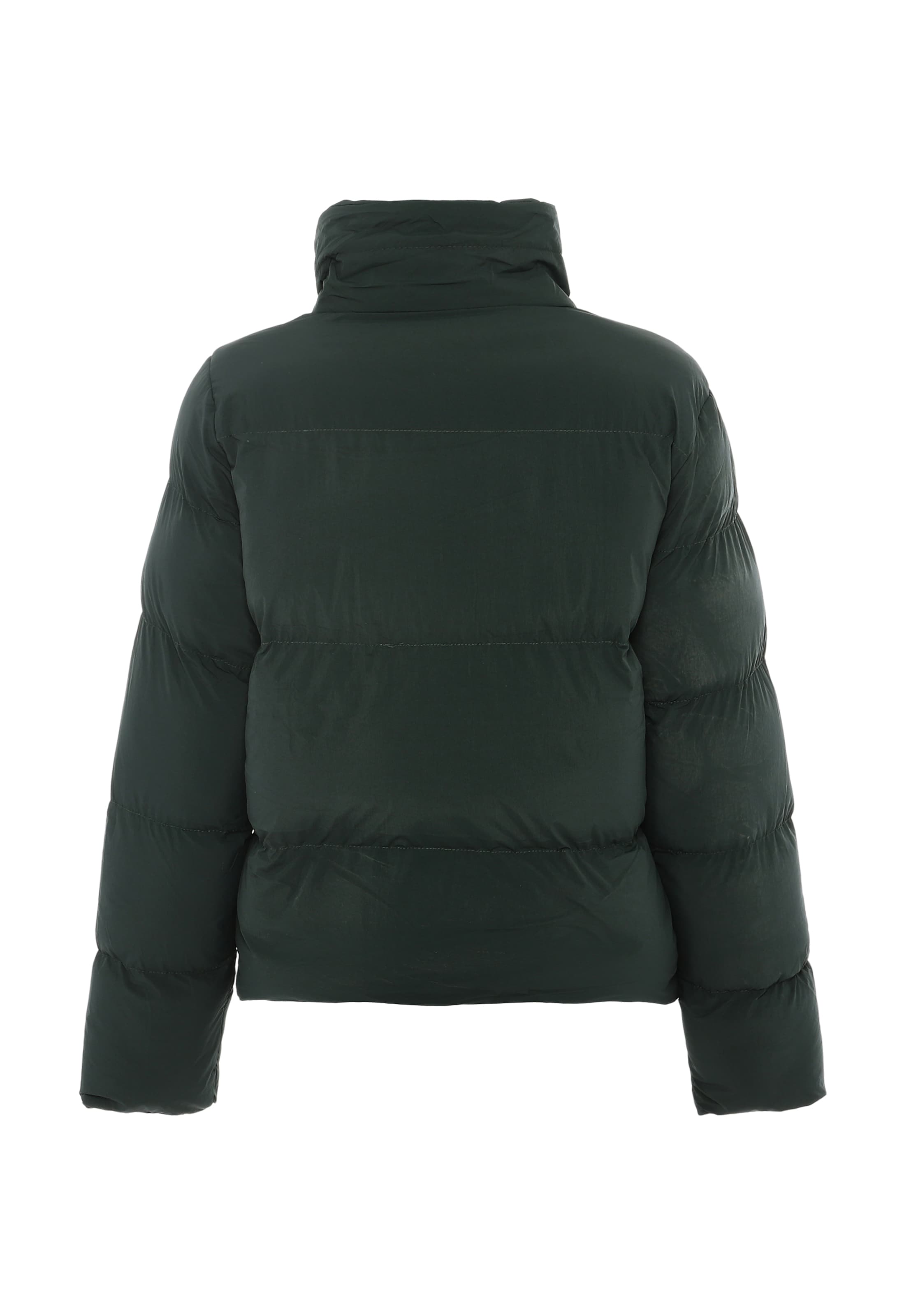 NALLY Winter jacket in Green