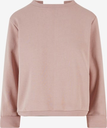 DEF Sweatshirt in Roze: voorkant