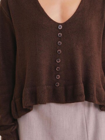 Pullover di MixRay in marrone