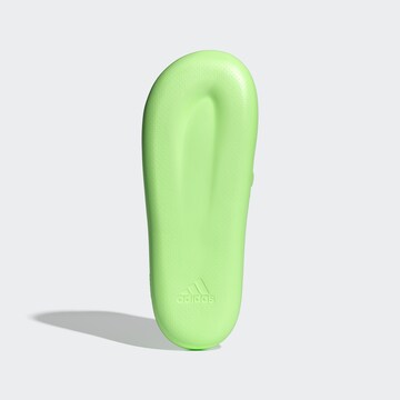 ADIDAS SPORTSWEAR Beach & swim shoe ' ZPLAASH ' in Green