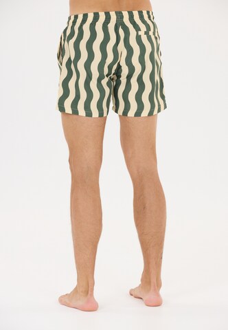 Virtus Boardshorts 'Tana' in Groen